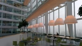 Modern Authentic Traditional